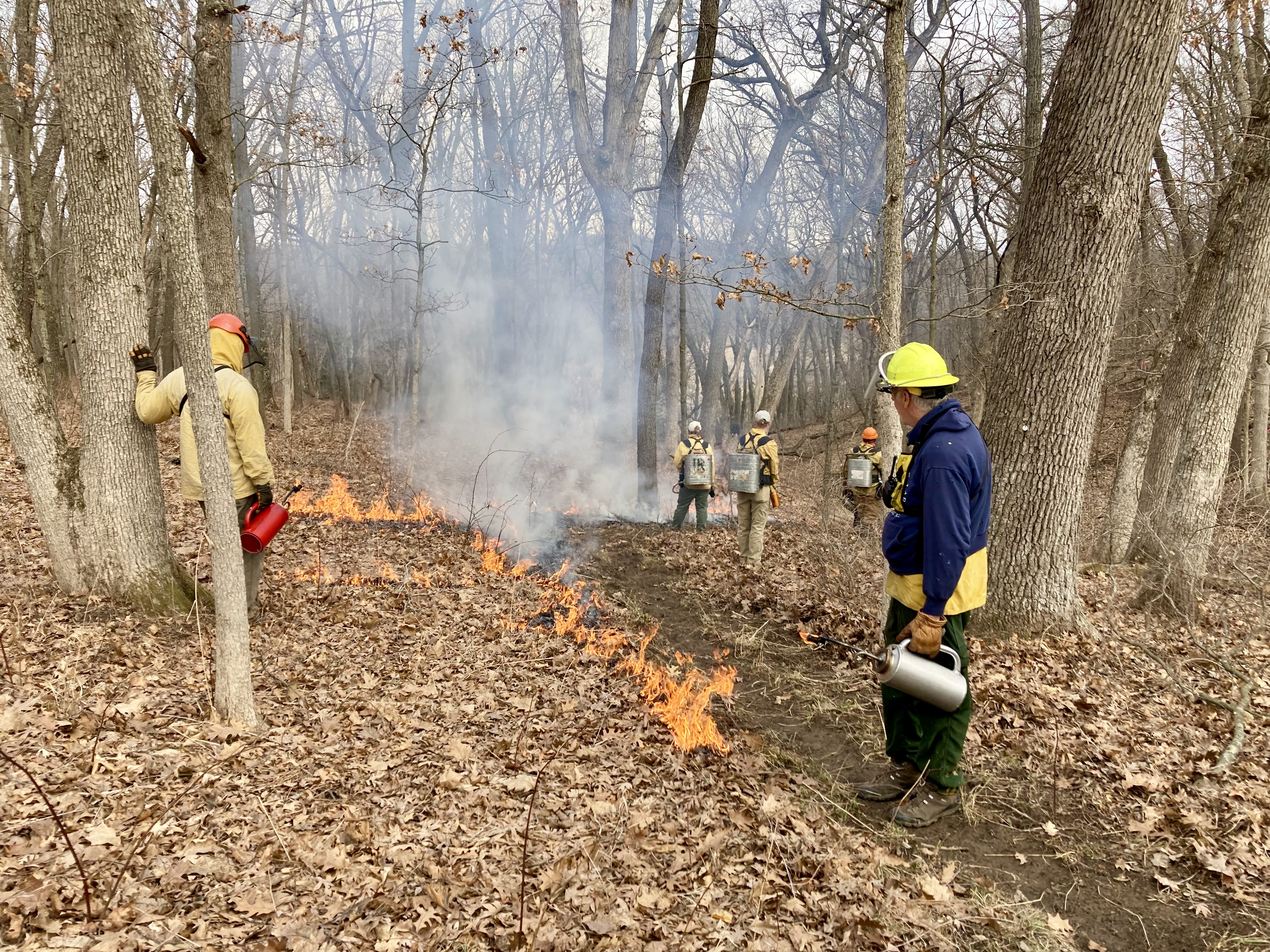 Spring Cover Fire Finishing Spring Burns
